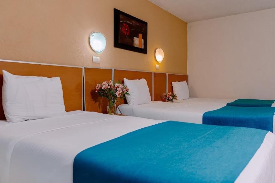 Kasa Hotel & Suites イラプアト エクステリア 写真